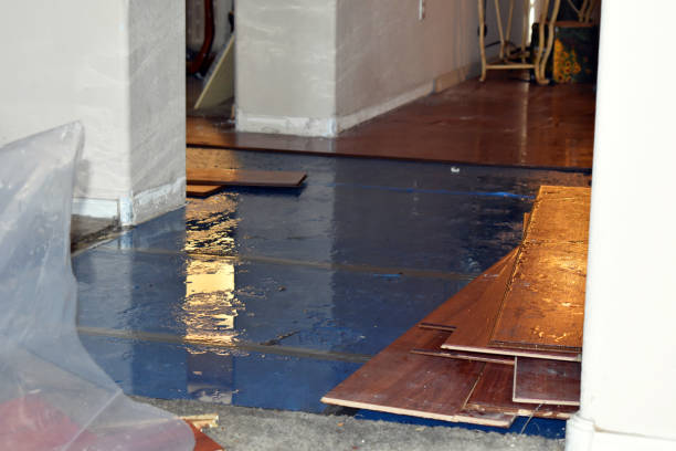 Professional Water Removal technician working in Slovan, PA